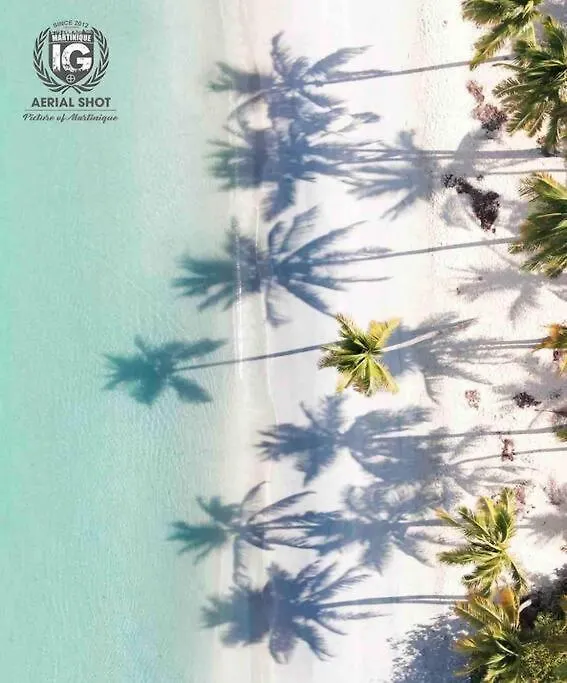 Duplex Green Paradise , Piscine , Acces Mer 5Mn Le Diamant 0*,  Martinik